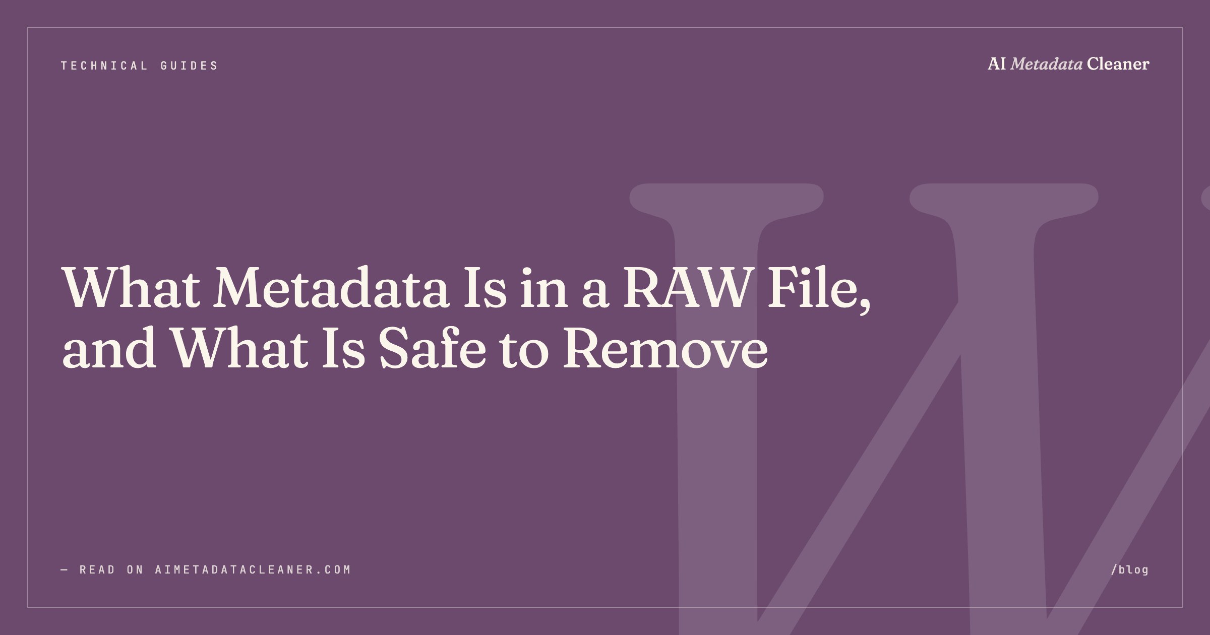 What Metadata Is in a RAW File, and What Is Safe to Remove — illustration